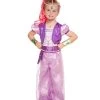 Spirit Halloween Toddler Shimmer Costume Deluxe - Shimmer and Shine -HALLOWEEN COSTUMES Sales Store 01335686 a