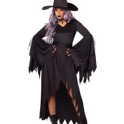 Spirit Halloween Adult Gothic Witch Costume