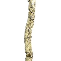 Spirit Halloween Witch Doctor Crow Staff -HALLOWEEN COSTUMES Sales Store 01440312 c