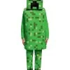 Spirit Halloween Kids Creeper Costume Deluxe - Minecraft -HALLOWEEN COSTUMES Sales Store 01448034 a
