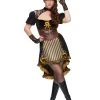 Spirit Halloween Adult Steampunk Lady Costume -HALLOWEEN COSTUMES Sales Store 01482488 a