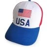 Spirit Halloween Team USA Dad Hat -HALLOWEEN COSTUMES Sales Store 01500347 a