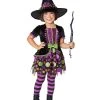 Spirit Halloween Toddler Sparkling Witch Costume -HALLOWEEN COSTUMES Sales Store 01529031 a