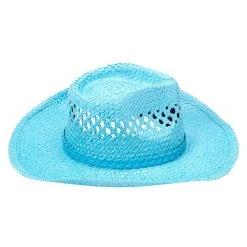 Spirit Halloween Blue Straw Cowboy Hat -HALLOWEEN COSTUMES Sales Store 01573013 f