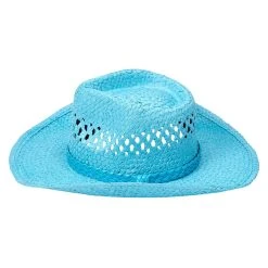 Spirit Halloween Blue Straw Cowboy Hat -HALLOWEEN COSTUMES Sales Store 01573013 g