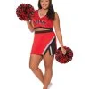 Spirit Halloween Adult Cheerleader Plus Size Costume 2 Spirit Halloween Adult Cheerleader Plus Size Costume -HALLOWEEN COSTUMES Sales Store 01576362 a