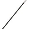 Spirit Halloween Regal Cane
