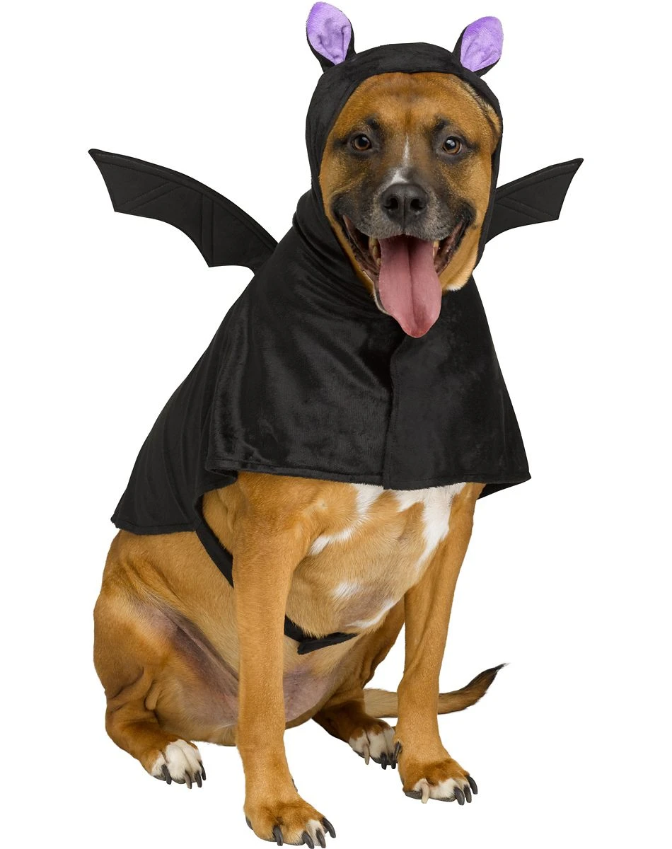Spirit Halloween Bat Pet Costume 3 Spirit Halloween Bat Pet Costume