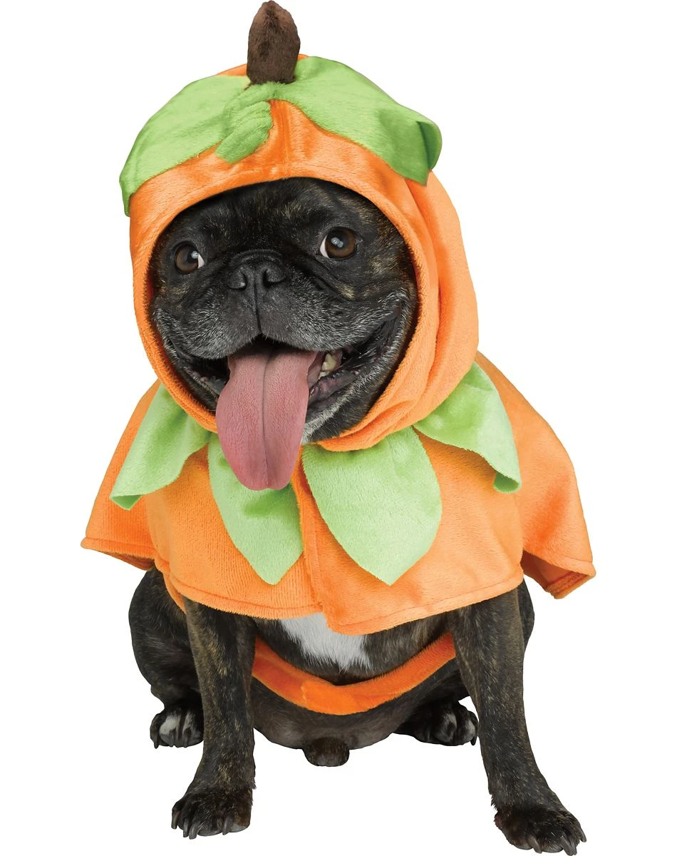 Spirit Halloween Pumpkin Pet Costume 3 Spirit Halloween Pumpkin Pet Costume
