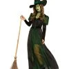 Spirit Halloween Adult Wicked Witch Costume - The Wizard of Oz -HALLOWEEN COSTUMES Sales Store 01601095 a