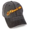 Spirit Halloween Flamin' Hot Cheetos Denim Dad Hat -HALLOWEEN COSTUMES Sales Store 03719424 a