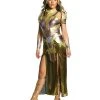Spirit Halloween Adult Hippolyta Costume Deluxe - DC Comics -HALLOWEEN COSTUMES Sales Store 07468481 a